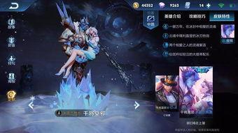 爆料王者最新皮肤是谁的,王者最新皮肤，神秘英雄华丽登场！