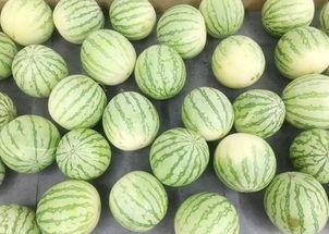 最新吃瓜爆料真实,当红明星惊人内幕曝光