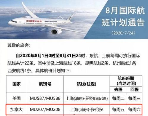 航线最新爆料信息网站